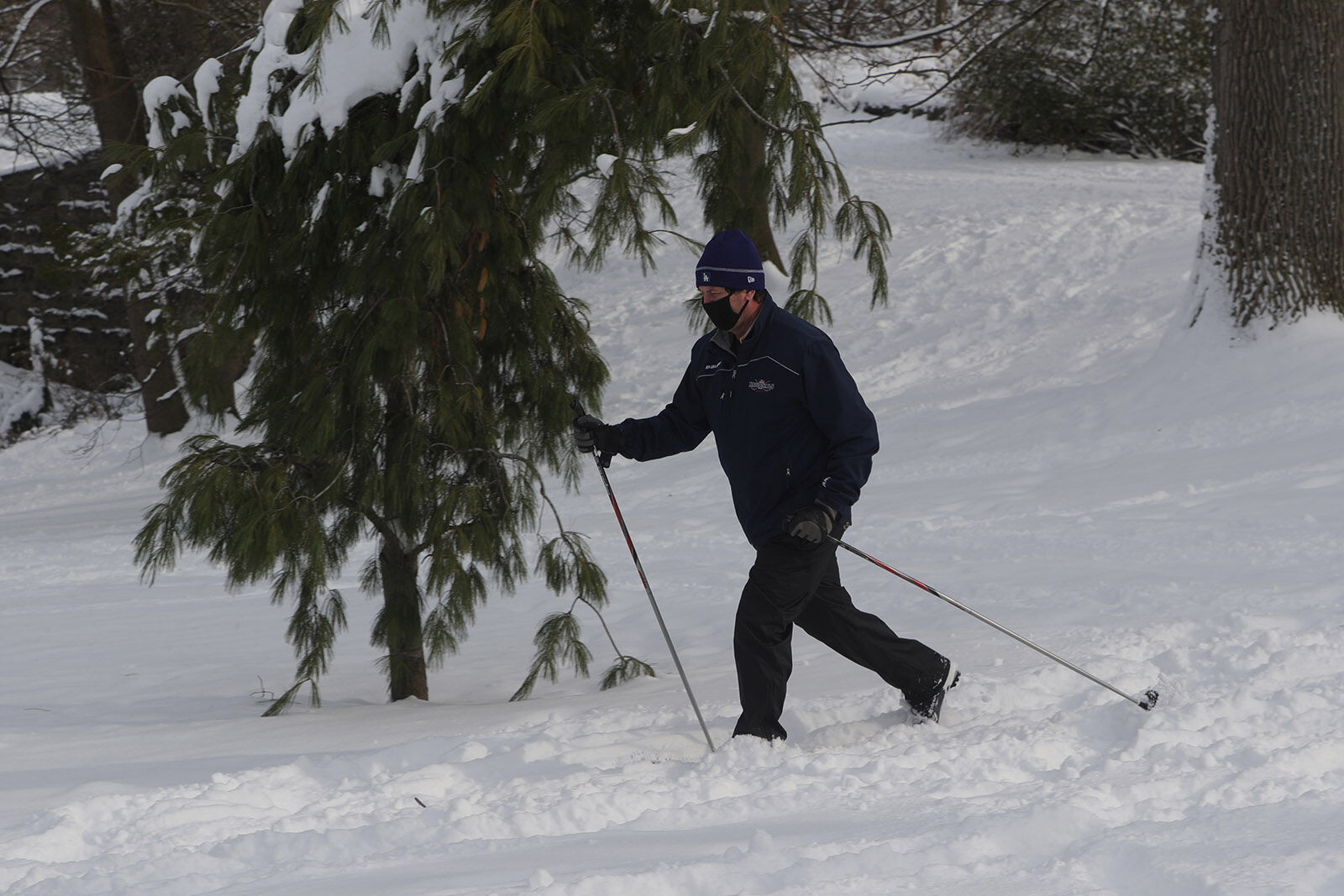 Exercise for the county executive